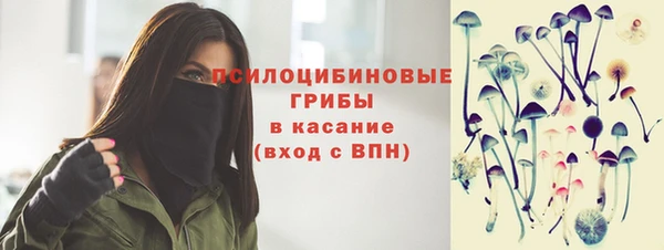 меф Гусев