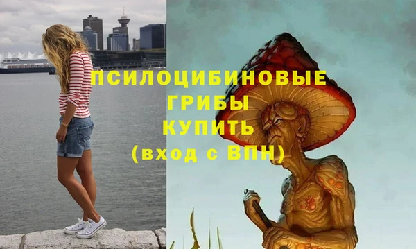 меф Гусев