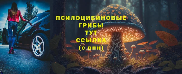 бутират Гусиноозёрск