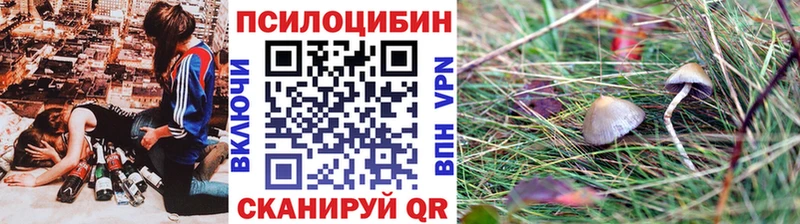 Псилоцибиновые грибы мицелий  Лакинск 